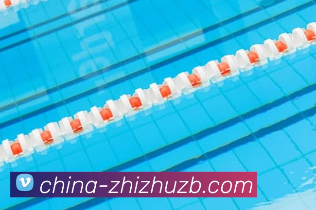 蜘蛛直播官网入口 | 专注足球、篮球及电竞赛事深度报道门户APP 体育赛事宣传图